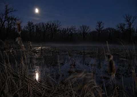 Night photograph of Rollins Savanna wetland preserve north Grayslake Illinois
